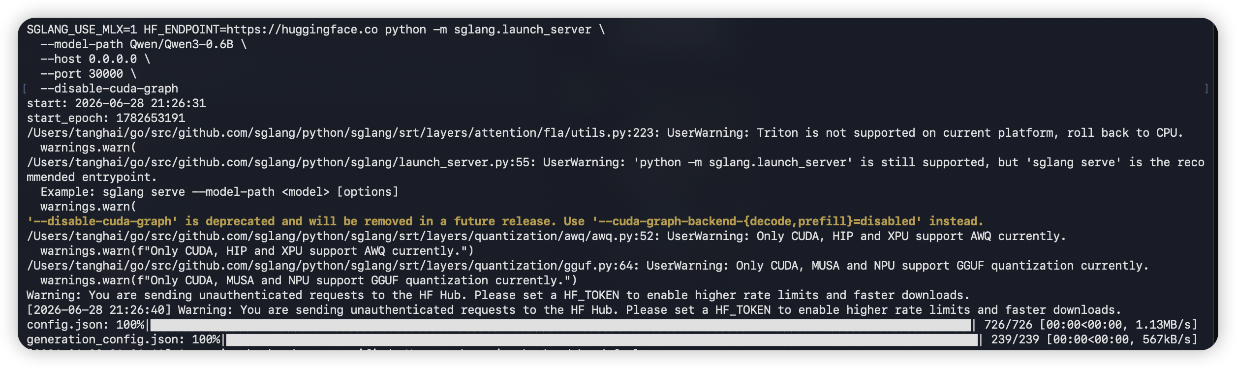 调用 SGLang OpenAI-compatible API